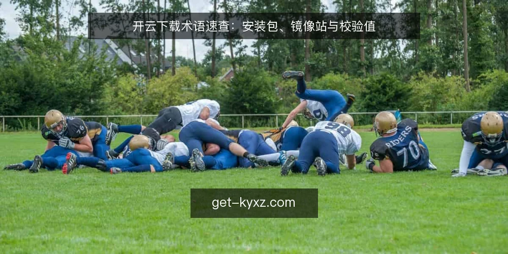 开云下载术语速查:安装包、镜像站与校验值 — 为何现在审计你的下载术语 配图